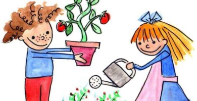 Qué son los valores estéticos